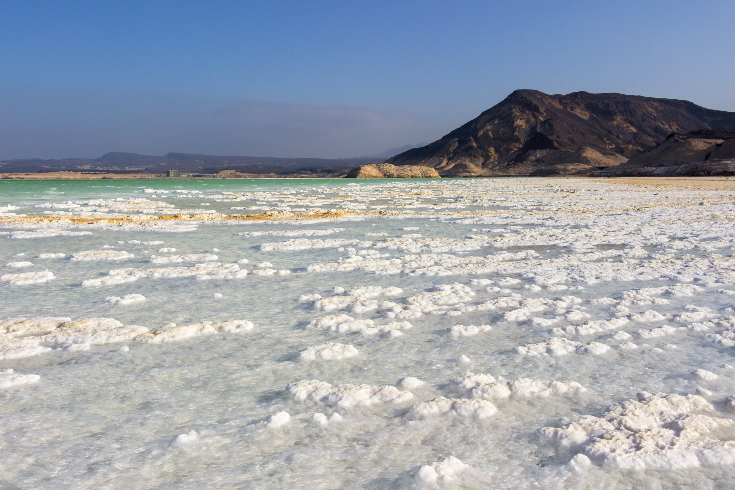 KIDS OF THE SALTED LAKE by Camille Massida